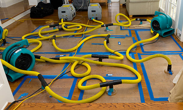 Professional Crawl Space Water Removal technician working in Yucaipa, CA